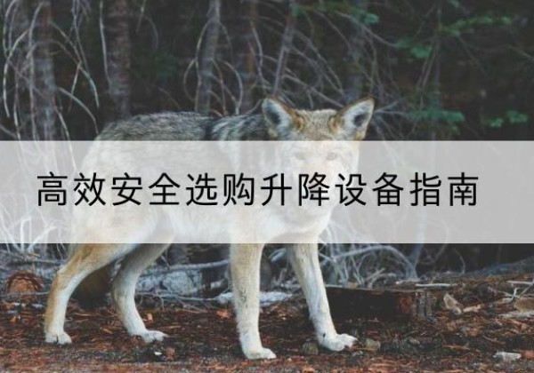 蓟州区升降货梯厂家推荐-*安全选购升降设备指南