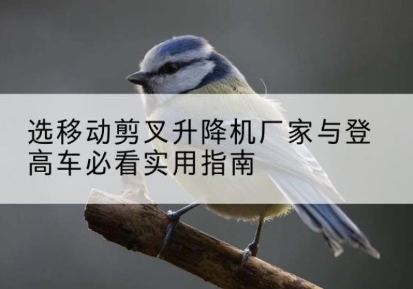 蓟州区电动升降机厂家-选移动剪叉升降机厂家与登高车必看实用指南